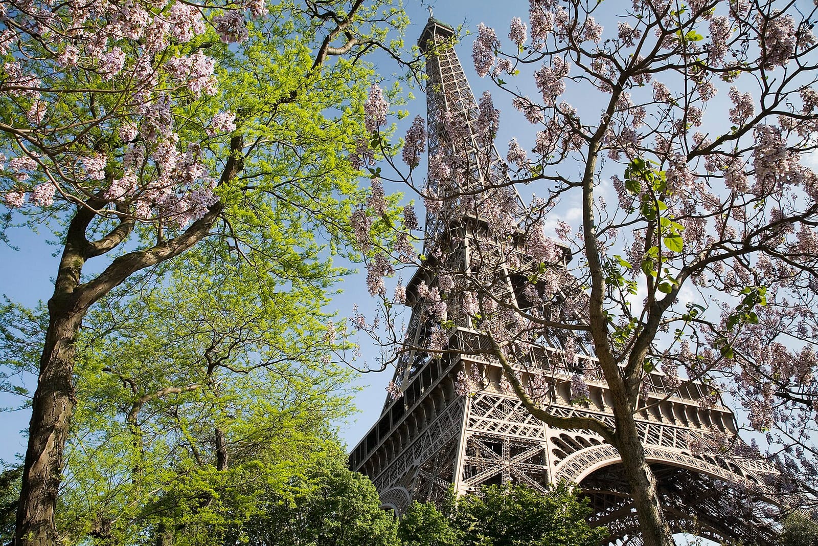 The Eiffel Tower in Paris during springtime