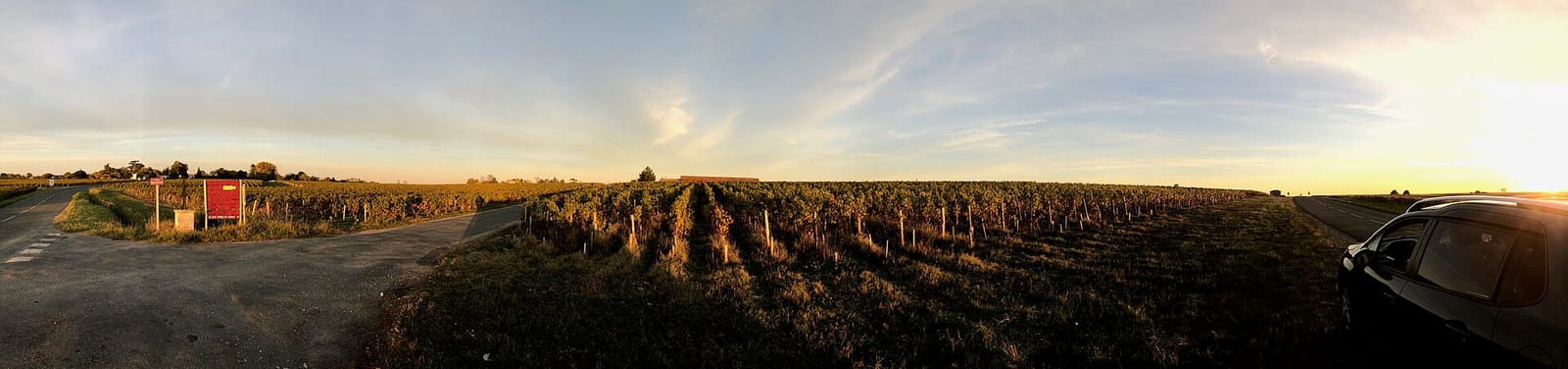 File photo: Vineyards near Pauillac in France's Médoc region in autumn