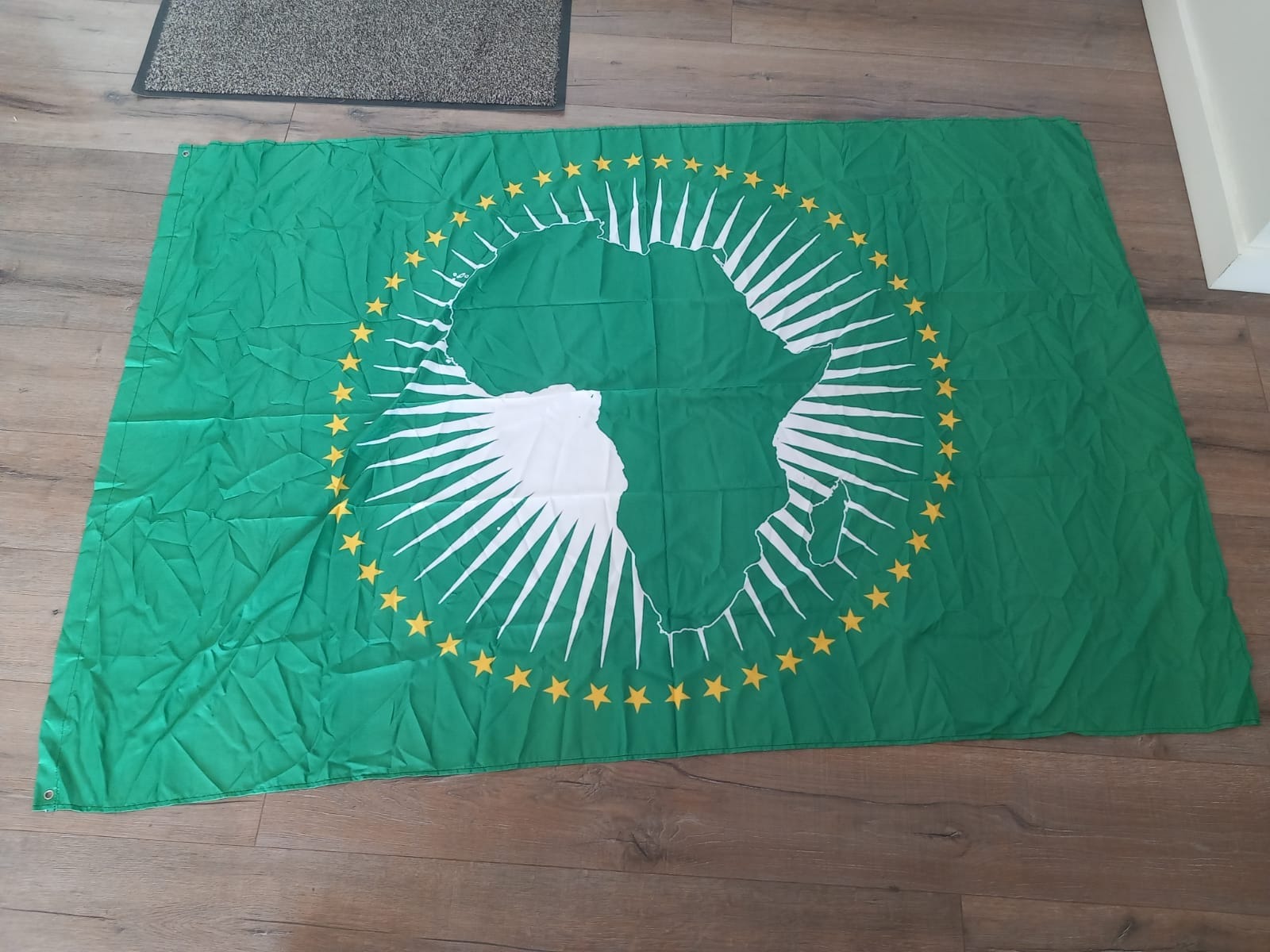 File photo: The flag of the African Union.
