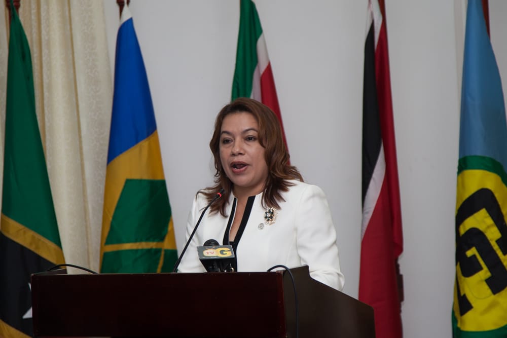 Carolyn Rodrigues-Birkett at a CARICOM ministers' meeting, Georgetown, May 2014