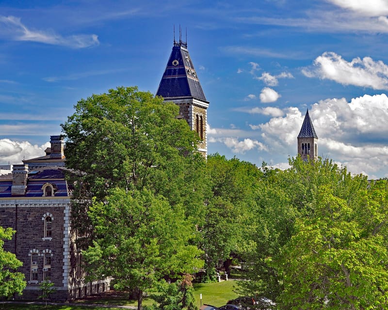 New York governor names attorney general special prosecutor in alleged Cornell rape case