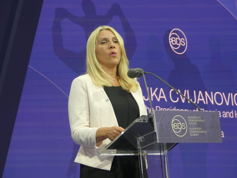 Dodik declares party victory in Bosnia election as ally leads presidency race