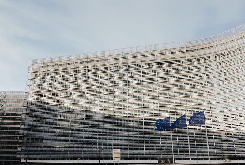 Merz and Macron propose EU tool to rapidly cut off single market access