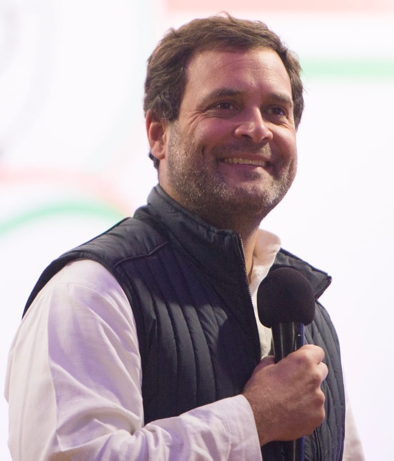 La police de Delhi interpelle brièvement des députés de l'opposition, dont Rahul Gandhi, lors d'une manifestation sur les listes électorales