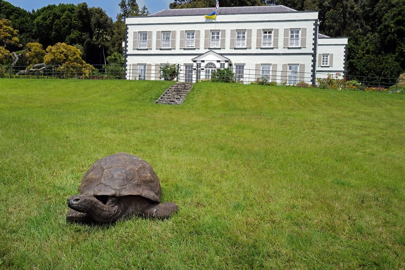 Scientists say genetic traits may help explain longevity of tortoise estimated at 194