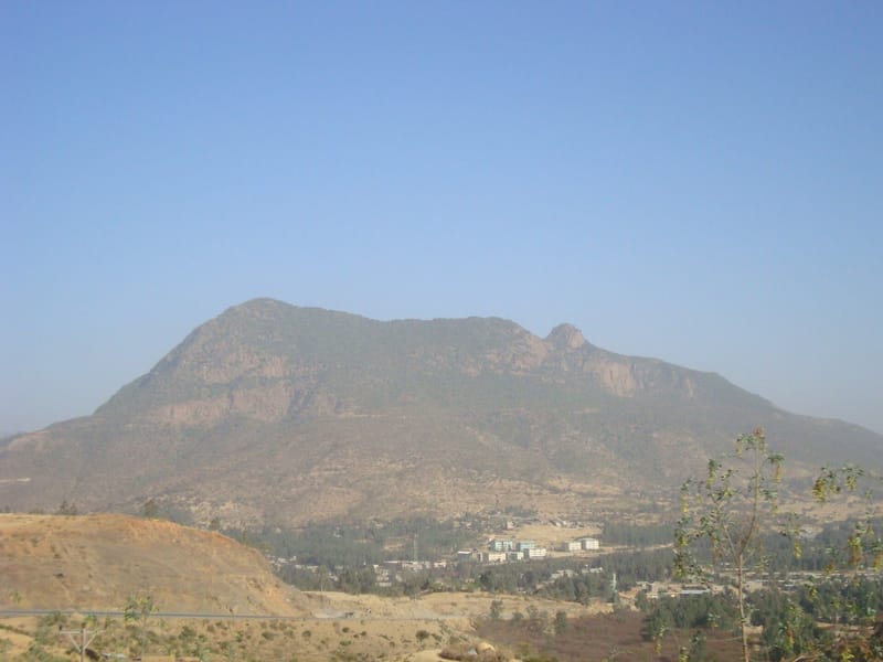 Ethiopian forces enter Tigray town of Adwa after TPLF withdrawal, residents say